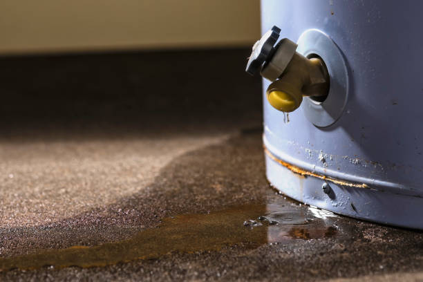 Best Water damage restoration near me  in Portales, NM