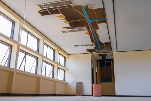 Best Emergency water damage restoration  in Portales, NM