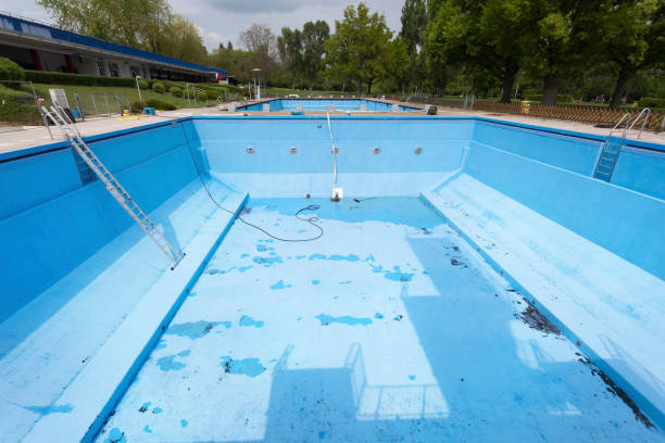 Best Flood damage cleanup  in Portales, NM