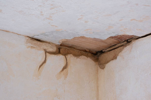 Best Sewage cleanup and water damage restoration  in Portales, NM
