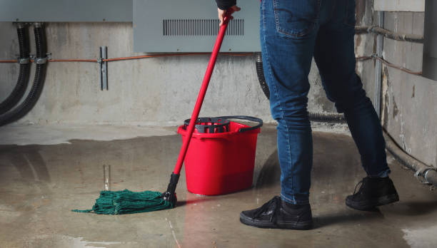 Best Sewage cleanup and water damage restoration  in Portales, NM