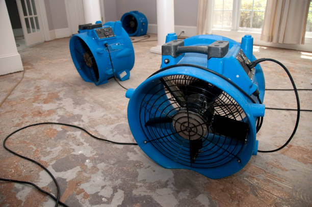 Best Ceiling water damage repair  in Portales, NM