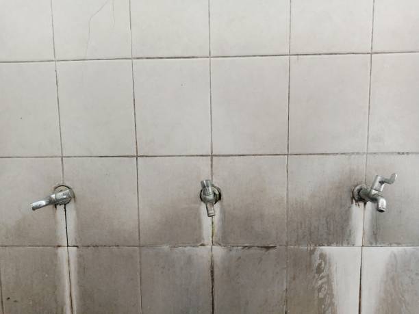 Best 24/7 water damage repair  in Portales, NM