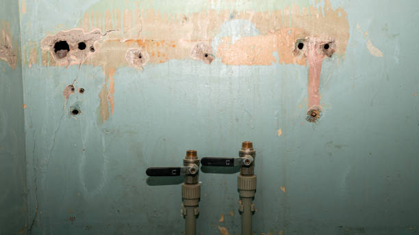 Best Residential water damage restoration  in Portales, NM