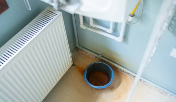 Best Flooded house restoration  in Portales, NM